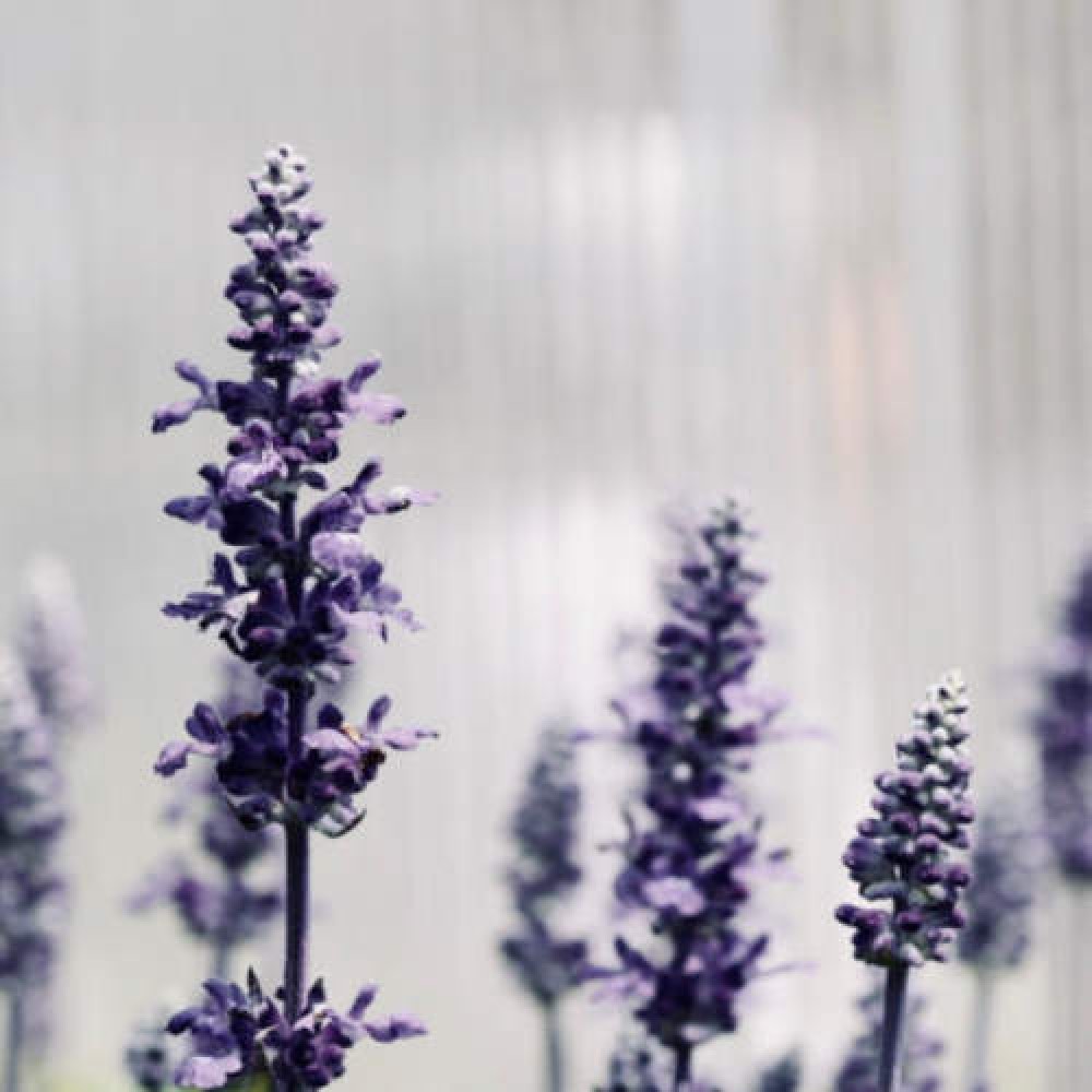 best-indoor-sensory-activities-for-dementia-patients